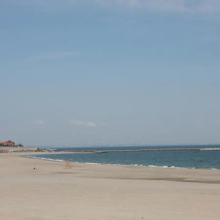 Tourist's Delight Constanta